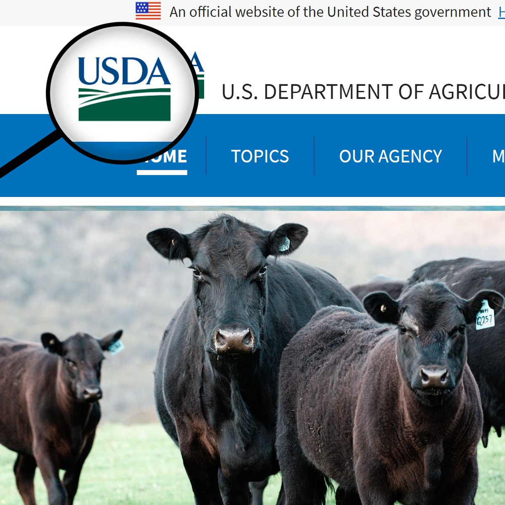 The United States Department of Agriculture, known as the USDA, inspects and grades meats based on nationally uniform Federal standards of excellence.